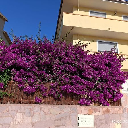 Bouganville Olmedo Bagian luar foto