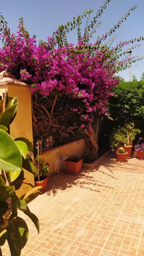 Bouganville Olmedo Bagian luar foto